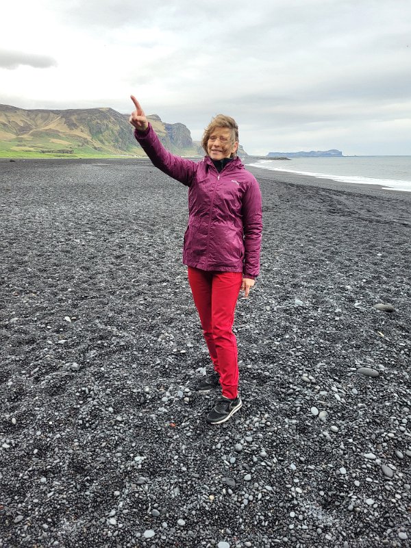 Víkurfjara - Thea pointing to the birds