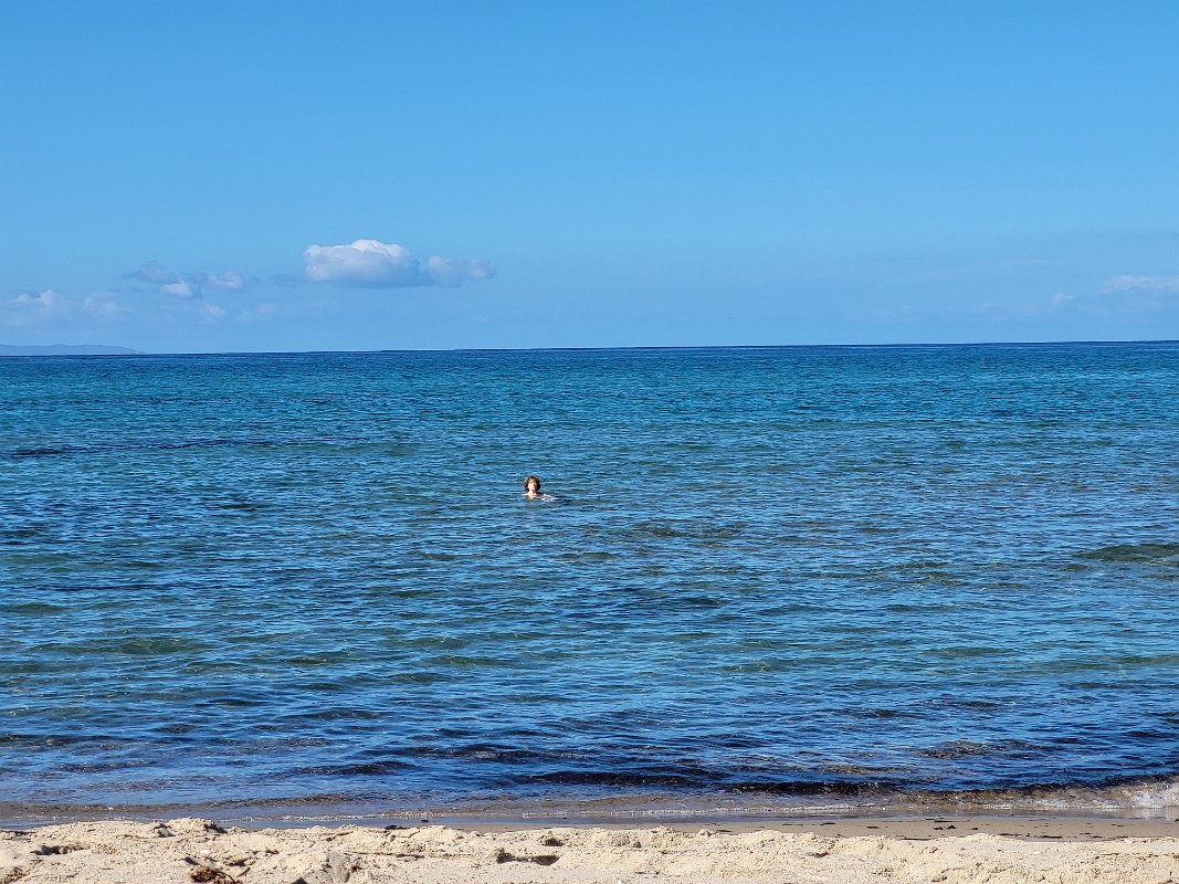 Thea braves a dip in the water